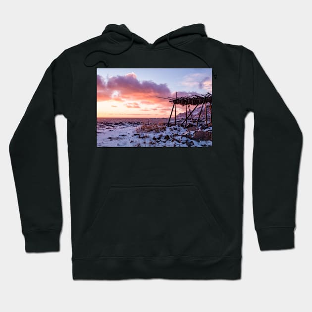 Stockfish Sunrise Hoodie by krepsher